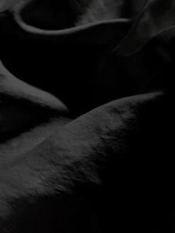 The Silk Organza Skirt -- Black -Frame Fashion Shop WS25WSK002 black FABRICDETAIL